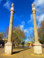alamedad columnas